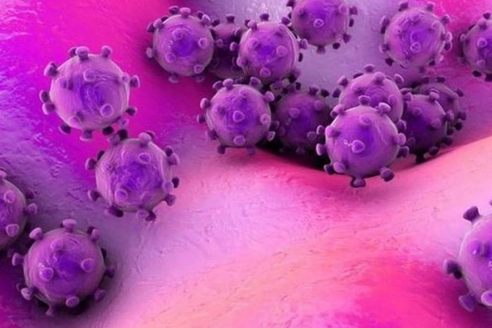 coronavirus_-_covid19